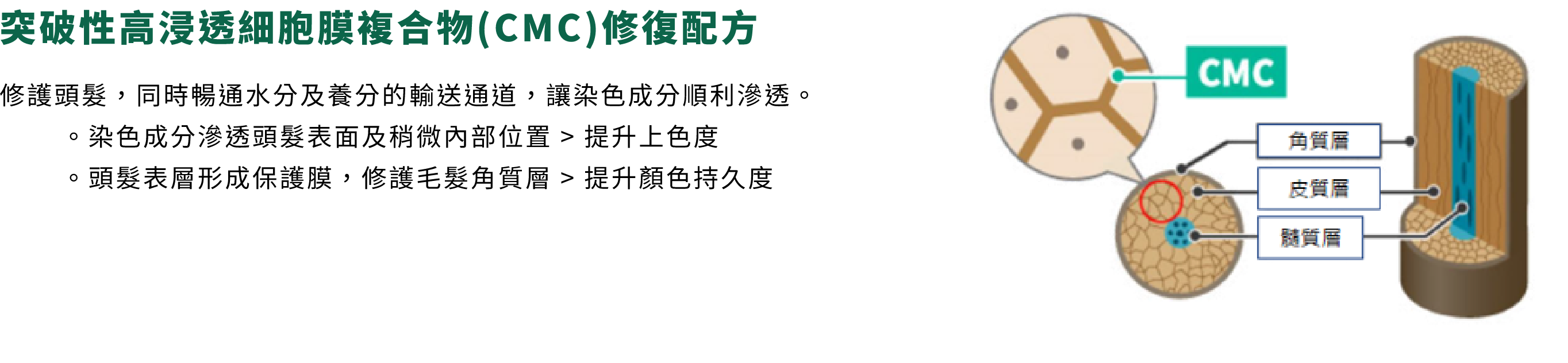 產品系列 - 飄然利尻昆布